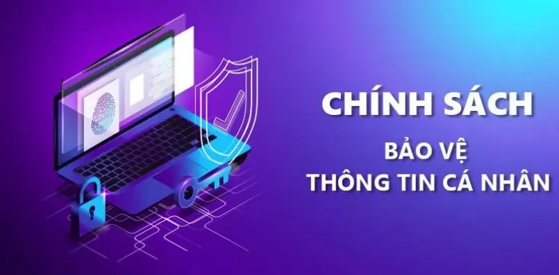 Quy trình thu thập và lưu trữ dữ liệu được giám sát bởi công nghệ tân tiến